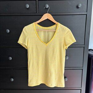 Everlane V neck striped T-shirt